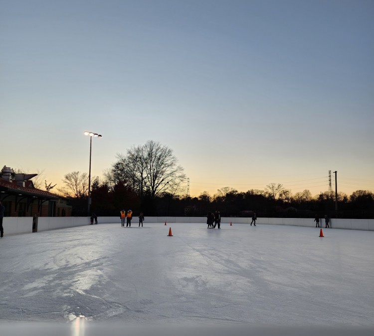 roosevelt-park-family-skating-rink-photo